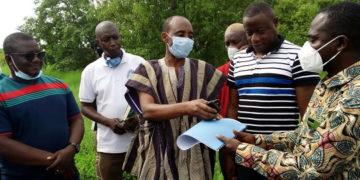 Ghana: Deputy Minister hands over site for development of 300 hectares valley for rice production