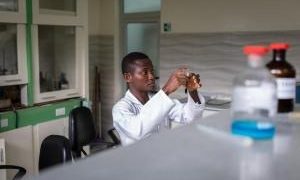 Africa OKs COVID-19 herbal medicine trial protocol