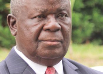 Malawi at risk of debt distress–IMF