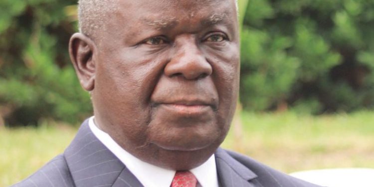 Malawi at risk of debt distress–IMF