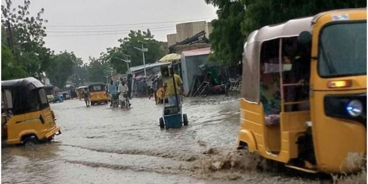 Nigeria: Flood takes over Senate President, Ahmed Lawan’s hometown