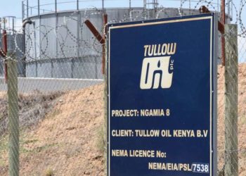 Kenyans to wait until 2025 for oil billions