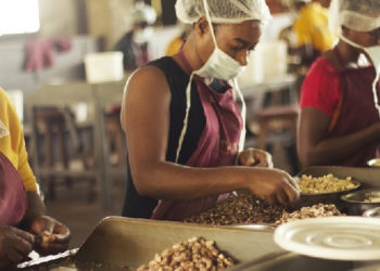 Ghana: Laws needed to support growth of entrepreneurship