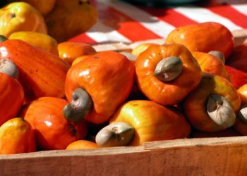 Ghana: Cashew farmers kick against govt-backed decision to set prices