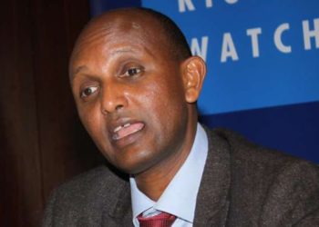 Ethiopia human rights boss raises profile amid 'crisis'