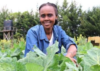 Kenya: We must innovate to boost agriculture, environment