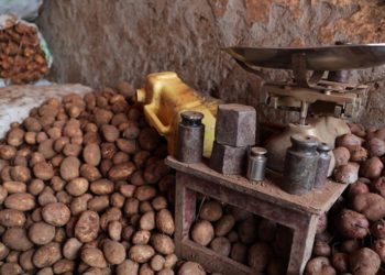 Outdated weighing scales hurt farmers’ fortunes