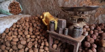 Outdated weighing scales hurt farmers’ fortunes