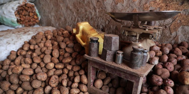 Outdated weighing scales hurt farmers’ fortunes