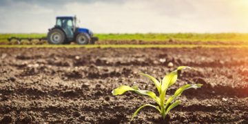 South Africa: Black farmer in Senekal: When I started, everyone thought I was crazy