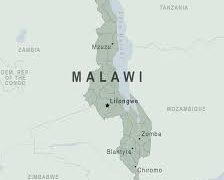 Economists say outlook positive