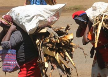 Kenya: Is firewood cooking most Kenyans’ meals?