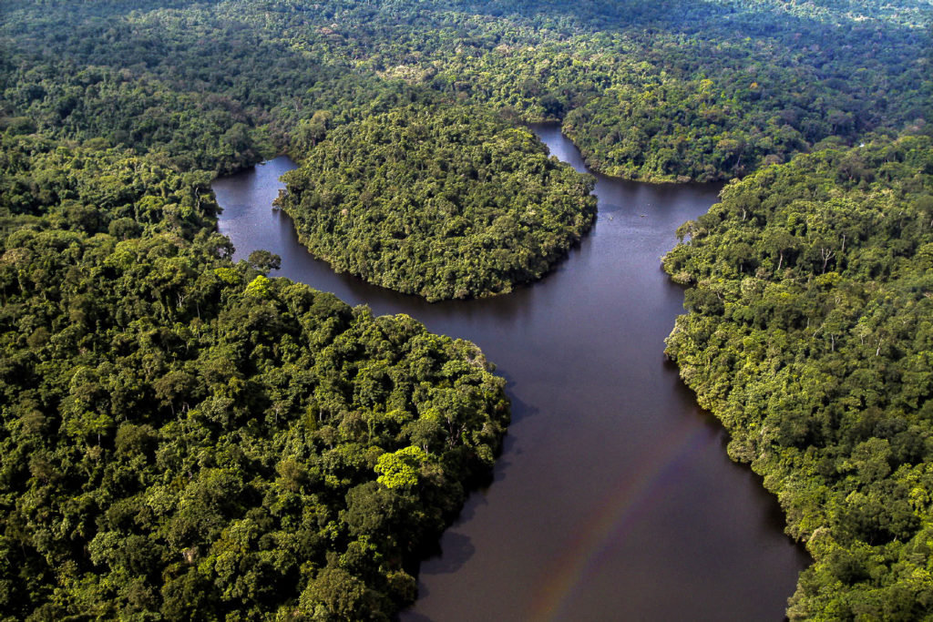 Africa's natural resources could help counter virus consequences