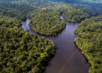 Africa's natural resources could help counter virus consequences