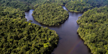 Africa's natural resources could help counter virus consequences