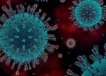 Nigeria records more COVID-19 deaths as NCDC confirms 56 new cases