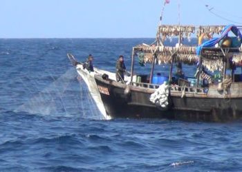 Ghana News: Chinese vessels abusing Ghana’s fishing laws, watchdog alleges