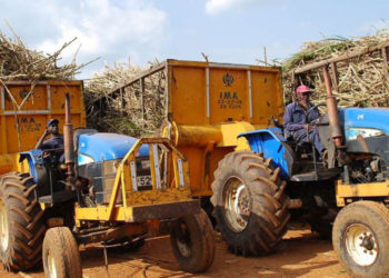 Kenya: MPs quash rules to shield farmers from cane cartels