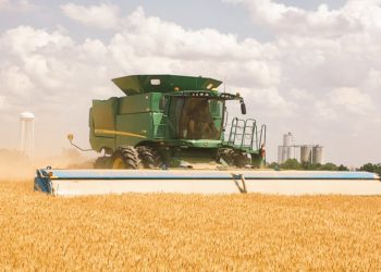 South Africa: Large harvests and export markets pay off