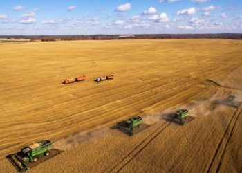 Russia keeps global grain supplies high despite Covid crisis