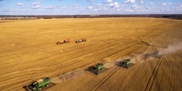 Russia keeps global grain supplies high despite Covid crisis