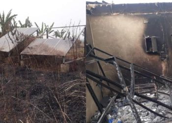 Herdsmen set solar power station on fire in Ogun