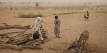 UN: 29 million in Sahel need humanitarian assistance