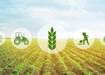 World Bank approved $250 million in financing to support Ivory Coast's Agro-Food Sector Development Project