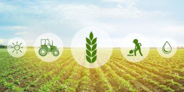 World Bank approved $250 million in financing to support Ivory Coast's Agro-Food Sector Development Project