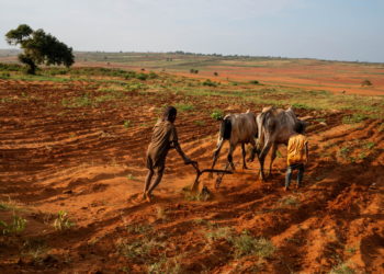 The WFP is appealing for $78 million in aid for southern Madagascar