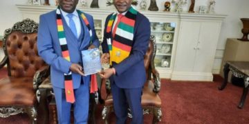 Zimbabwe’s Burgeoning Energy Sector: Driving development and Investments across multiple energy sectors.