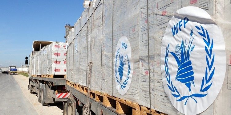 WFP and WHO are launching innovative project on Emergency Health Facilities