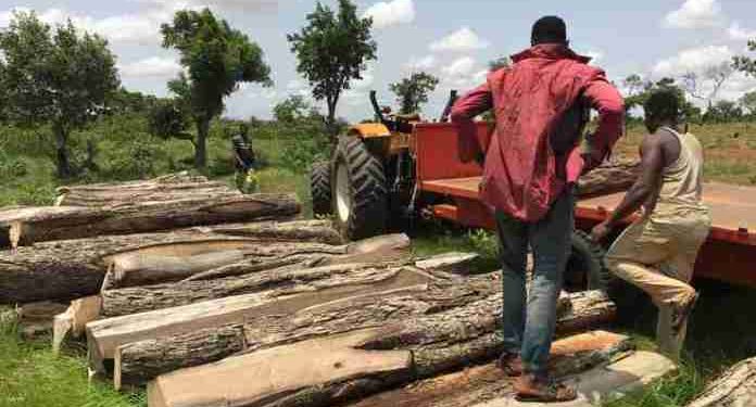 Ministry of Lands and Natural Resources