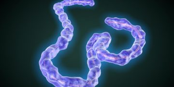 Guinea has confirmed a case of Marburg disease --WHO