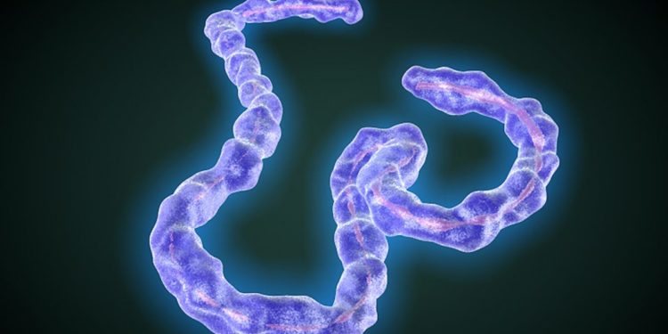 Guinea has confirmed a case of Marburg disease --WHO