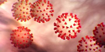 HARARE: Blame game on origins-tracing compromise coronavirus fight: Zimbabwean media