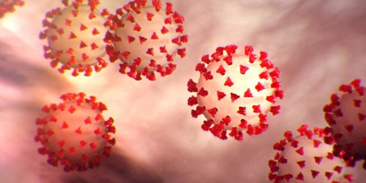 HARARE: Blame game on origins-tracing compromise coronavirus fight: Zimbabwean media