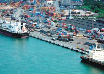 Special report at CIFTIS shares China's development experience in Africa