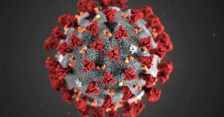 Nigerian virologist calls for science-based COVID-19 origins tracing