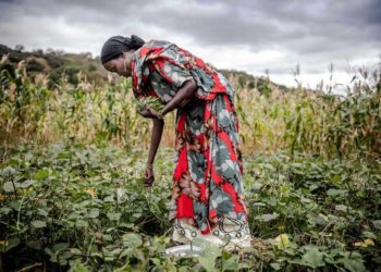 The AGRF 2021 Summit kicked off on Tuesday in Nairobi, Kenya, convening close to 7,000 participants virtually