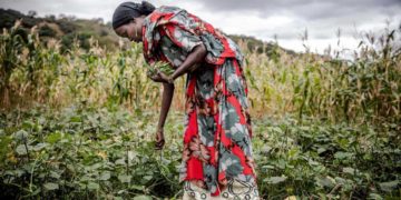 The AGRF 2021 Summit kicked off on Tuesday in Nairobi, Kenya, convening close to 7,000 participants virtually