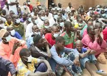 Cameroon: Authorities begin discussing repatriation mechanism for Nigerian ex-combatants