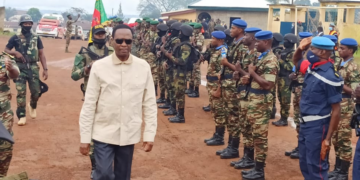 Cameroon: Defenceannounces a change in strategy against rebels
