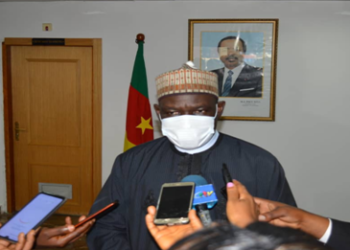 Cameroon: UNICEF lauds gov’t’s efforts to improve maternal, child nutrition