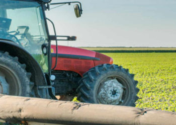 Nigeria: Federal and state Govt endorse Special Agro-industrial Processing Zones Programme: AfDB and partners to mobilize $520 million for Phase 1