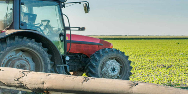 Nigeria: Federal and state Govt endorse Special Agro-industrial Processing Zones Programme: AfDB and partners to mobilize $520 million for Phase 1