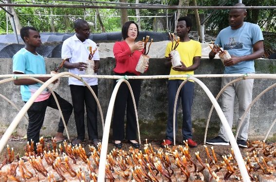 African students urged to play bigger role in China-Africa friendship