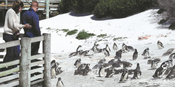 Destinations: South Africa looks to tourism recovery