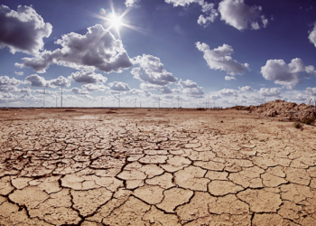 Over 2 million Kenyans are facing acute food insecurity in the next six months, following prolonged droughts