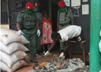 Cameroon: Trading In Human Bones Slowly Gaining Grounds